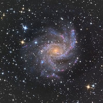 NGC6946