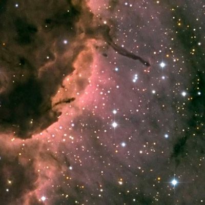 Pelican nebula